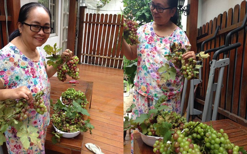 Loạt ảnh hiếm hoi về cuộc sống giản dị mà hạnh phúc bố mẹ ruột Hà Tăng