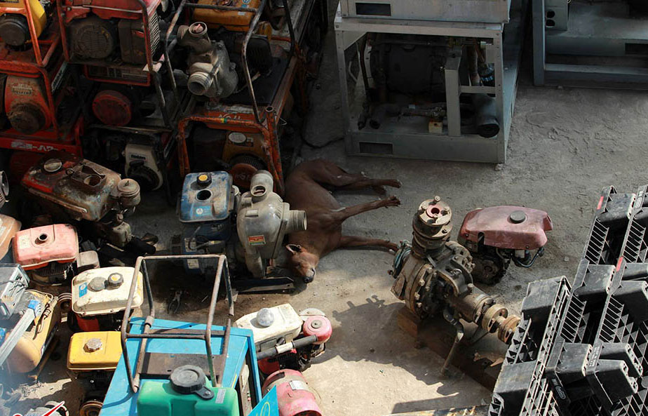 Siêu thị cơ khí ngang nhiên chui gầm cầu Thăng Long