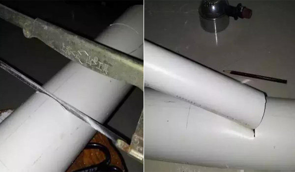 1001 cách tận dụng ống nhựa không ngờ để làm vườn, vừa nhàn vừa tiết kiệm