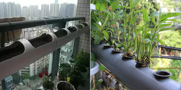 1001 cách tận dụng ống nhựa không ngờ để làm vườn, vừa nhàn vừa tiết kiệm