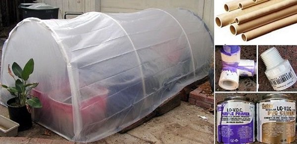 1001 cách tận dụng ống nhựa không ngờ để làm vườn, vừa nhàn vừa tiết kiệm