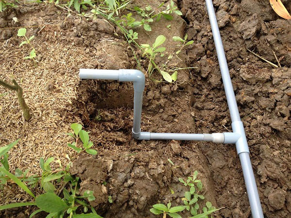 1001 cách tận dụng ống nhựa không ngờ để làm vườn, vừa nhàn vừa tiết kiệm