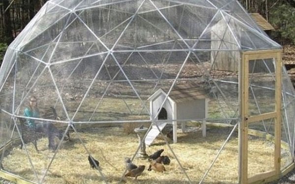 1001 cách tận dụng ống nhựa không ngờ để làm vườn, vừa nhàn vừa tiết kiệm