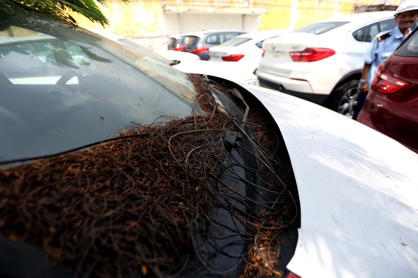 Hàng trăm xe sang phơi nắng mưa ngoài cảng