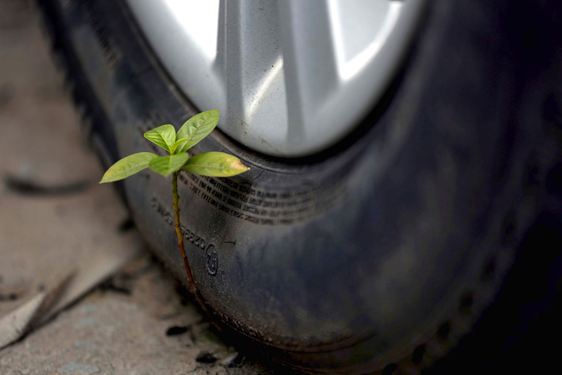 Hàng trăm xe sang phơi nắng mưa ngoài cảng