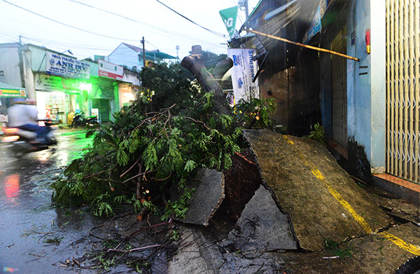 Trụ điện, cây xanh gãy đổ hàng loạt sau trận lốc xoáy ập vào Sài Gòn