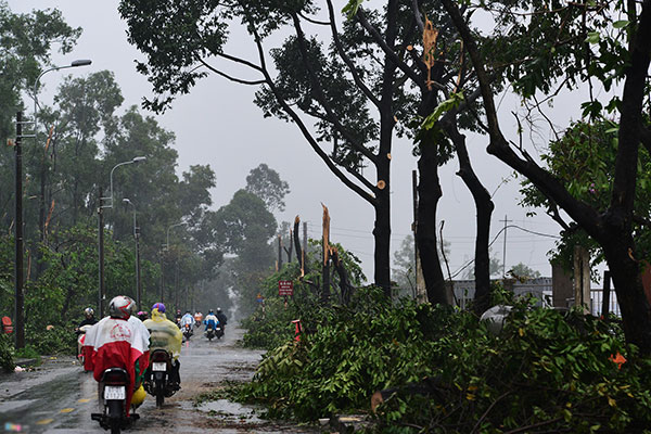 Trụ điện, cây xanh gãy đổ hàng loạt sau trận lốc xoáy ập vào Sài Gòn