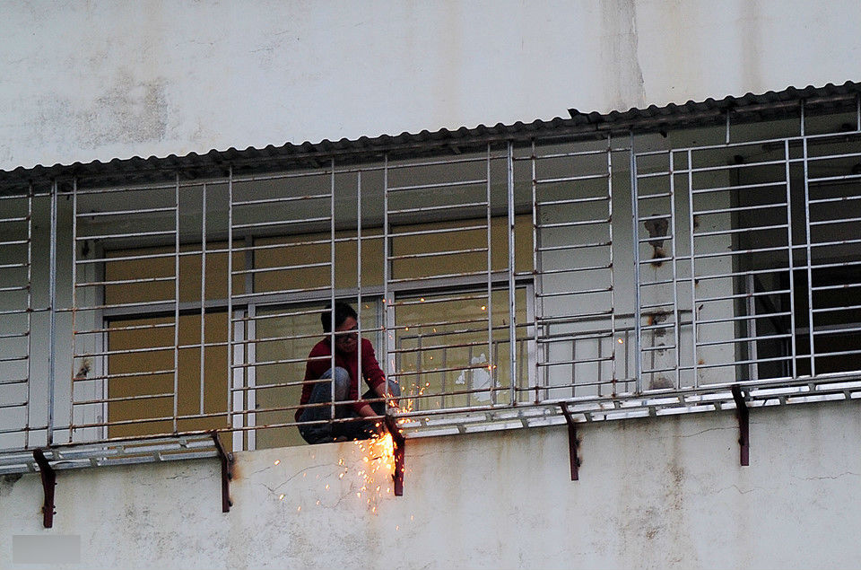 Cảnh nuôi gà, trồng rau trong chung cư ở Hà Nội