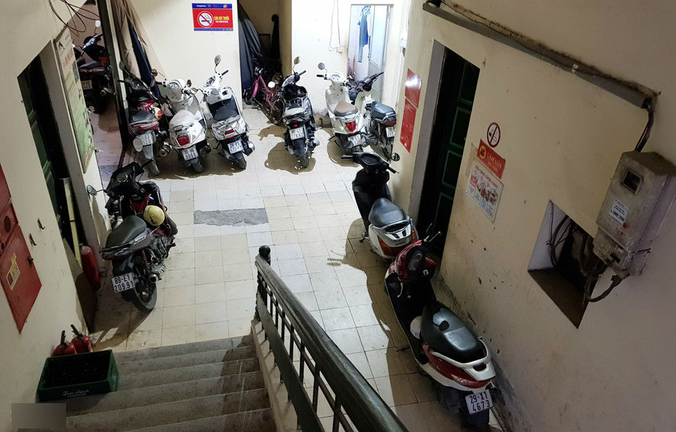 Cảnh nuôi gà, trồng rau trong chung cư ở Hà Nội