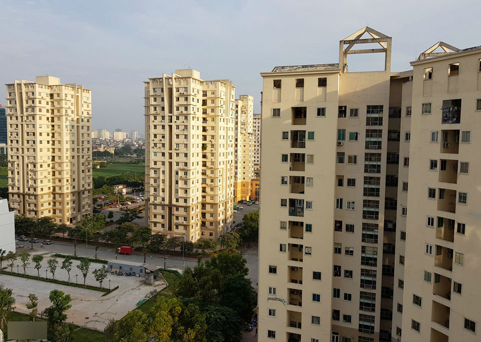 Cảnh nuôi gà, trồng rau trong chung cư ở Hà Nội