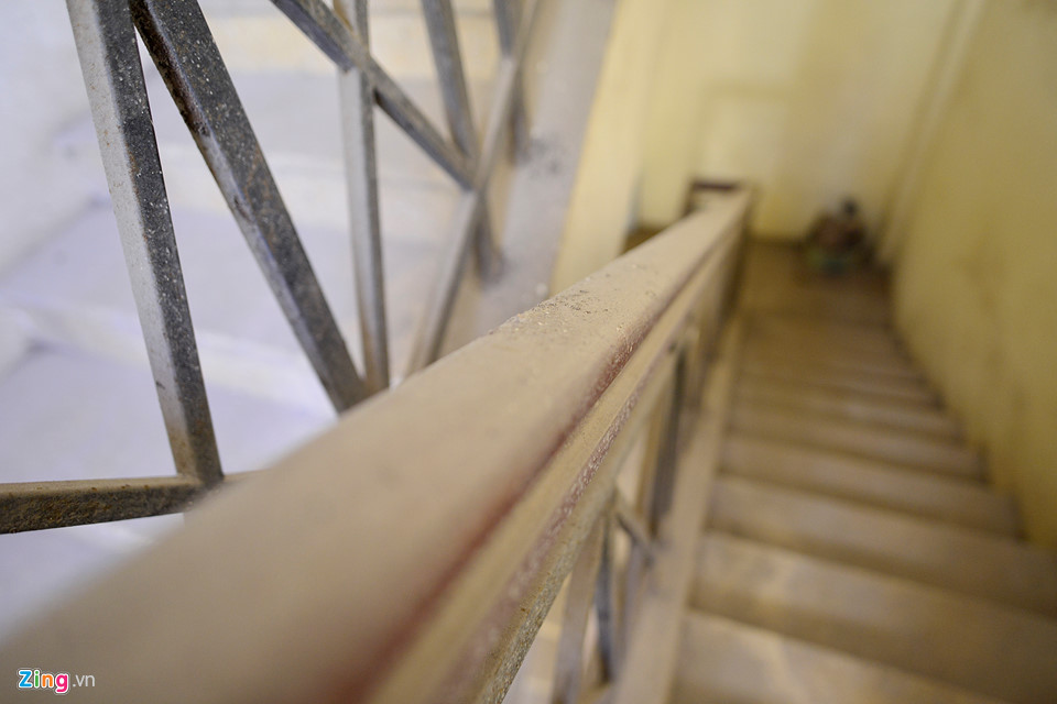 Cảnh nuôi gà, trồng rau trong chung cư ở Hà Nội