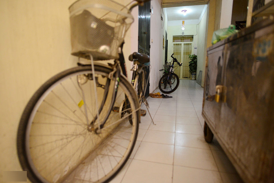 Cảnh nuôi gà, trồng rau trong chung cư ở Hà Nội