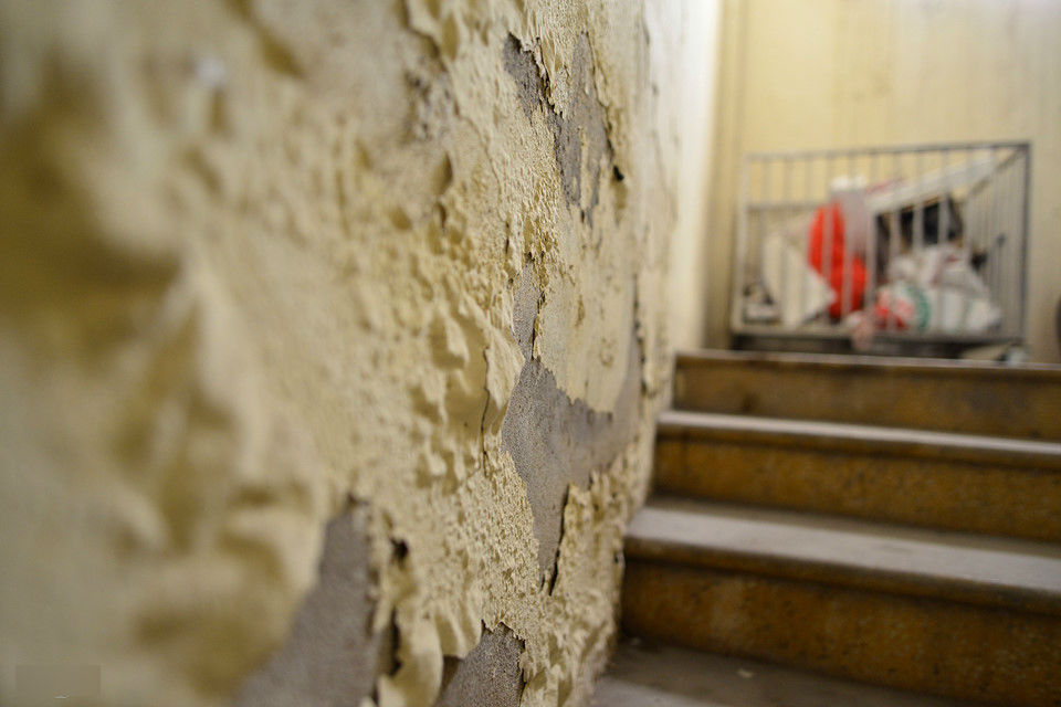 Cảnh nuôi gà, trồng rau trong chung cư ở Hà Nội