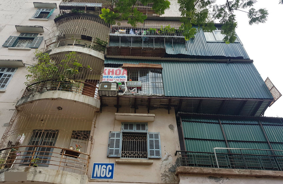 Cảnh nuôi gà, trồng rau trong chung cư ở Hà Nội