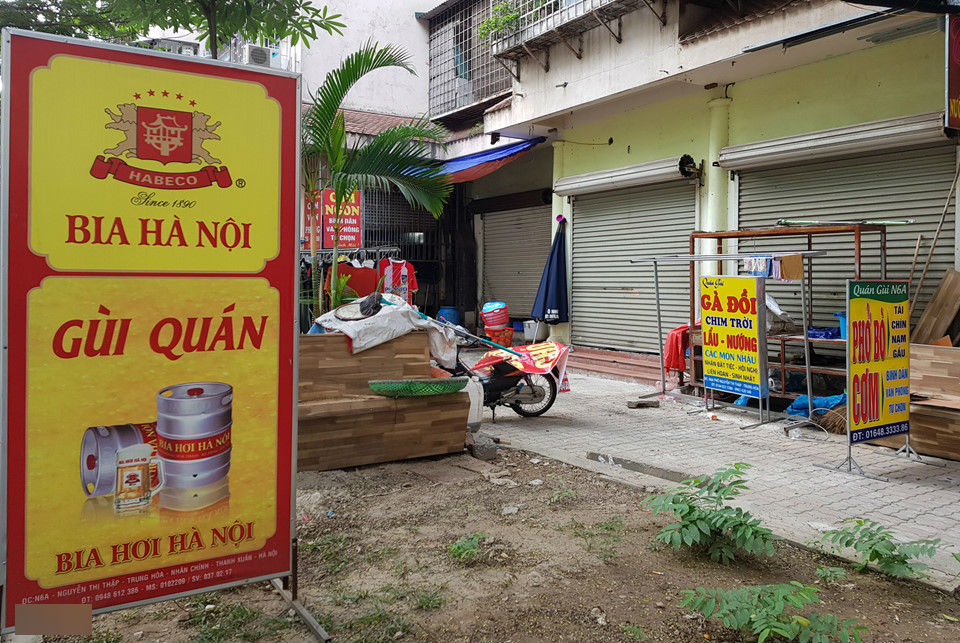 Cảnh nuôi gà, trồng rau trong chung cư ở Hà Nội