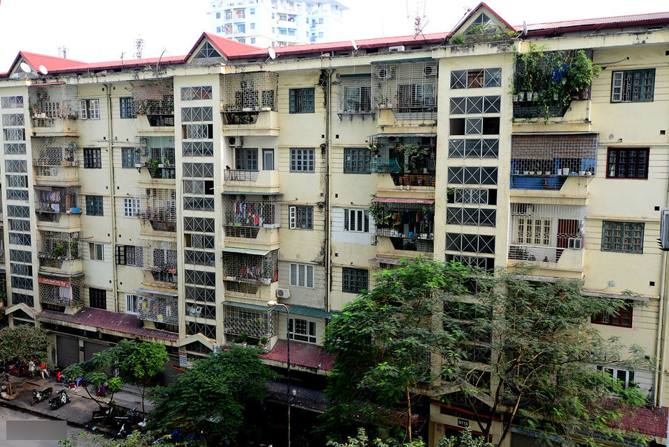 Cảnh nuôi gà, trồng rau trong chung cư ở Hà Nội