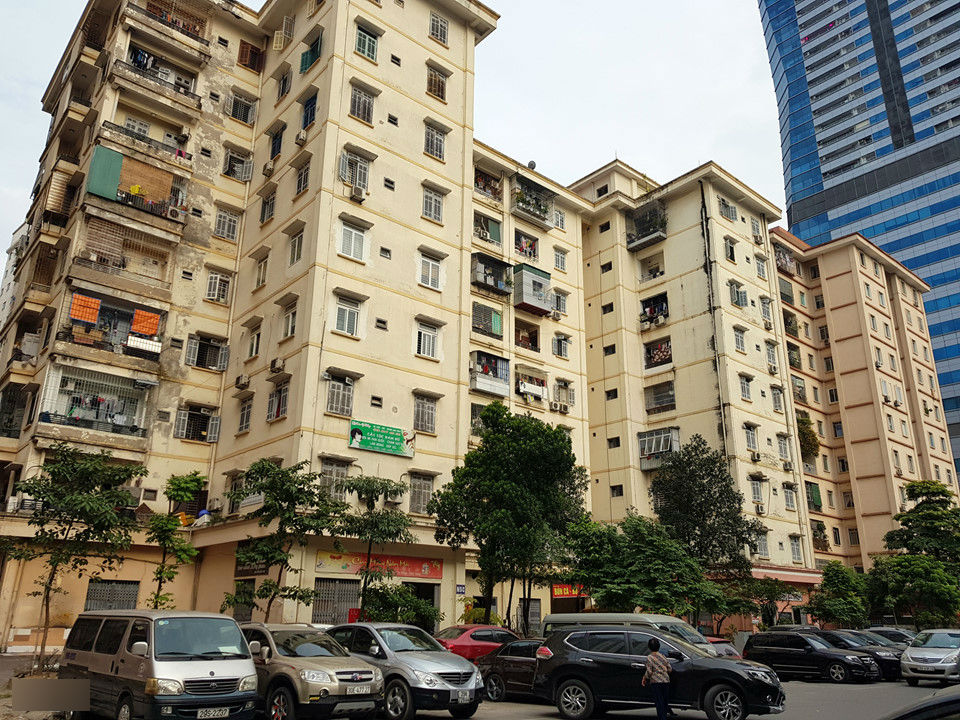 Cảnh nuôi gà, trồng rau trong chung cư ở Hà Nội