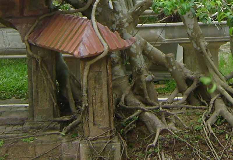 Kiệt tác sanh Phố cổ Hà Nội giá tỷ đồng chưa bán đẹp cỡ nào?