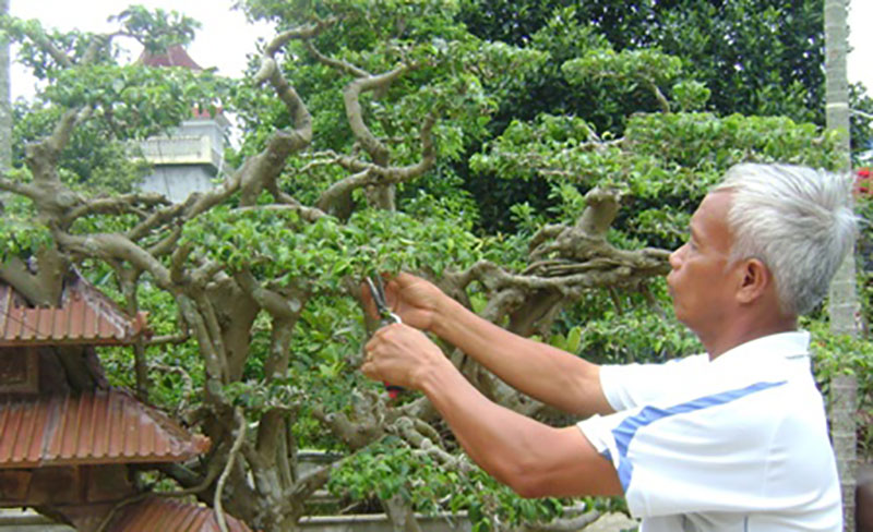 Kiệt tác sanh Phố cổ Hà Nội giá tỷ đồng chưa bán đẹp cỡ nào?