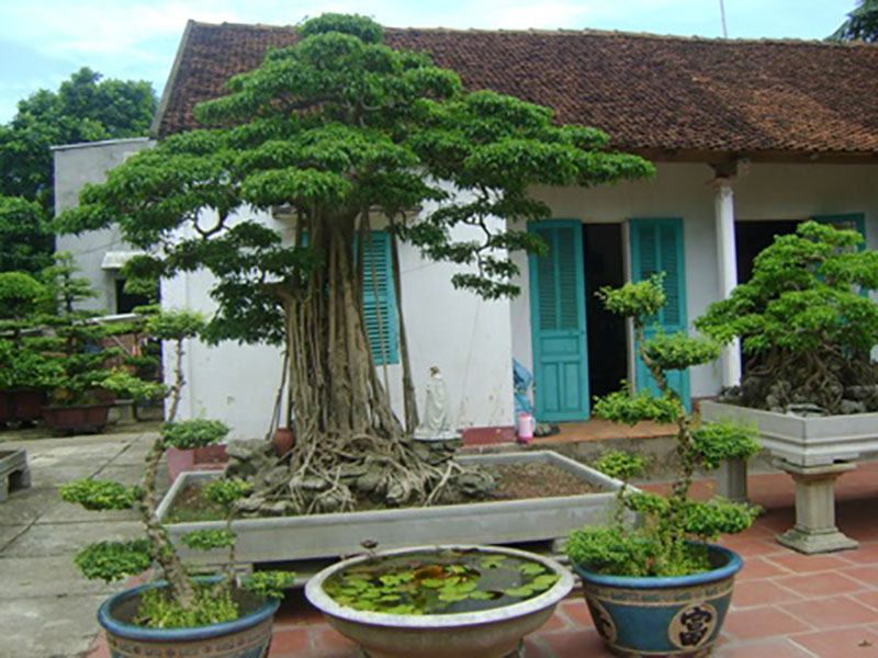 Kiệt tác sanh Phố cổ Hà Nội giá tỷ đồng chưa bán đẹp cỡ nào? Kiệt tác sanh Phố cổ Hà Nội giá tỷ đồng chưa bán đẹp cỡ nào?