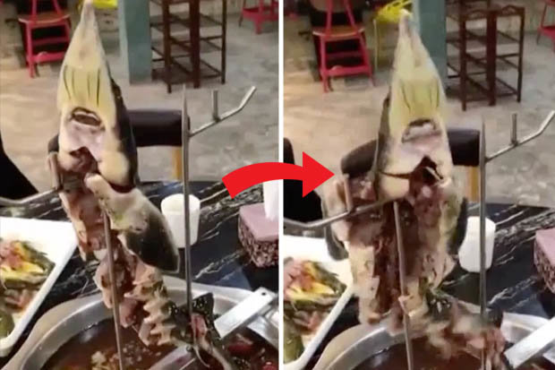 Hãi hùng cảnh cá bị rút xương ngoe nguẩy trên nồi lẩu