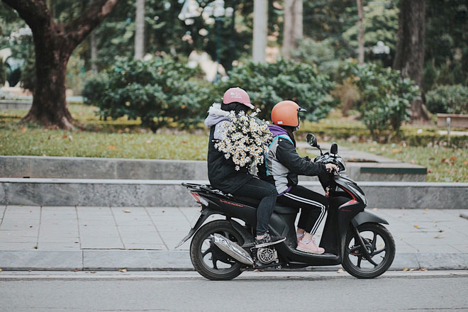 Đông về Hà Nội có mong gì đâu, chỉ chờ một mùa cúc họa mi trên phố Đông về Hà Nội có mong gì đâu, chỉ chờ một mùa cúc họa mi trên phố