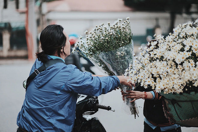 Đông về Hà Nội có mong gì đâu, chỉ chờ một mùa cúc họa mi trên phố Đông về Hà Nội có mong gì đâu, chỉ chờ một mùa cúc họa mi trên phố