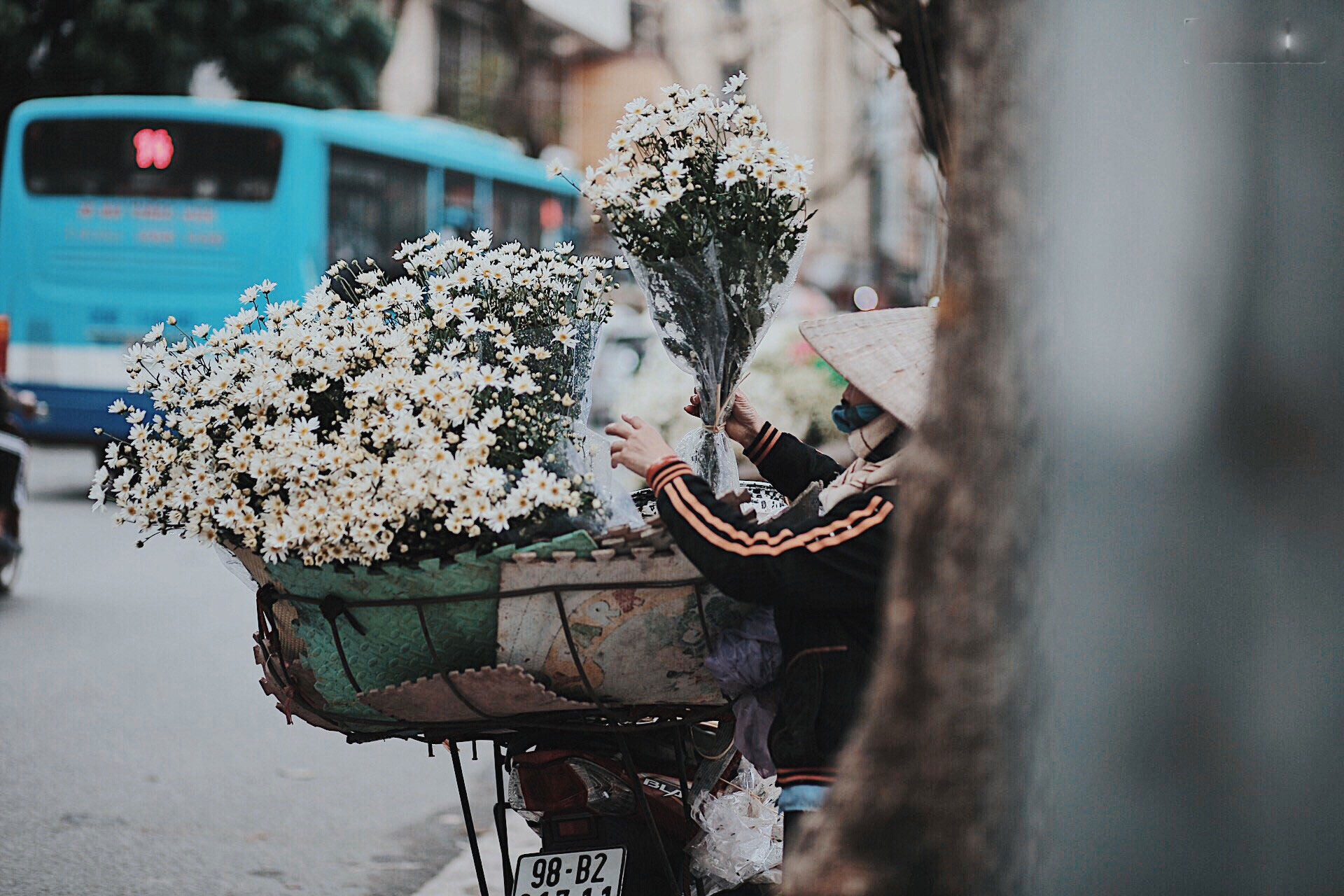 Đông về Hà Nội có mong gì đâu, chỉ chờ một mùa cúc họa mi trên phố Đông về Hà Nội có mong gì đâu, chỉ chờ một mùa cúc họa mi trên phố