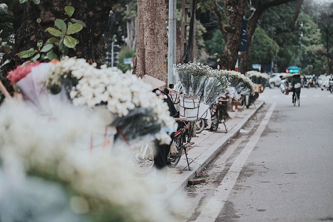 Đông về Hà Nội có mong gì đâu, chỉ chờ một mùa cúc họa mi trên phố Đông về Hà Nội có mong gì đâu, chỉ chờ một mùa cúc họa mi trên phố