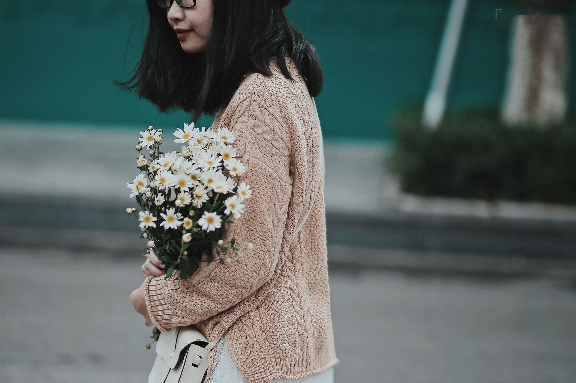 Đông về Hà Nội có mong gì đâu, chỉ chờ một mùa cúc họa mi trên phố Đông về Hà Nội có mong gì đâu, chỉ chờ một mùa cúc họa mi trên phố