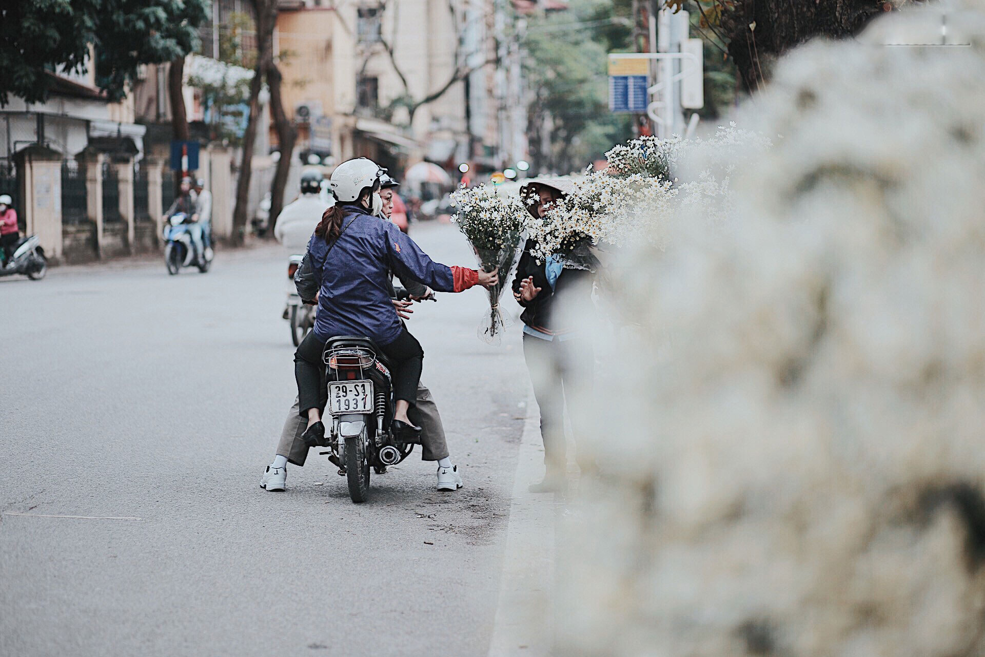 Đông về Hà Nội có mong gì đâu, chỉ chờ một mùa cúc họa mi trên phố Đông về Hà Nội có mong gì đâu, chỉ chờ một mùa cúc họa mi trên phố