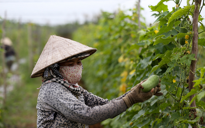 Cuộc sống không điện nước của xóm miền Tây ở Sài Gòn