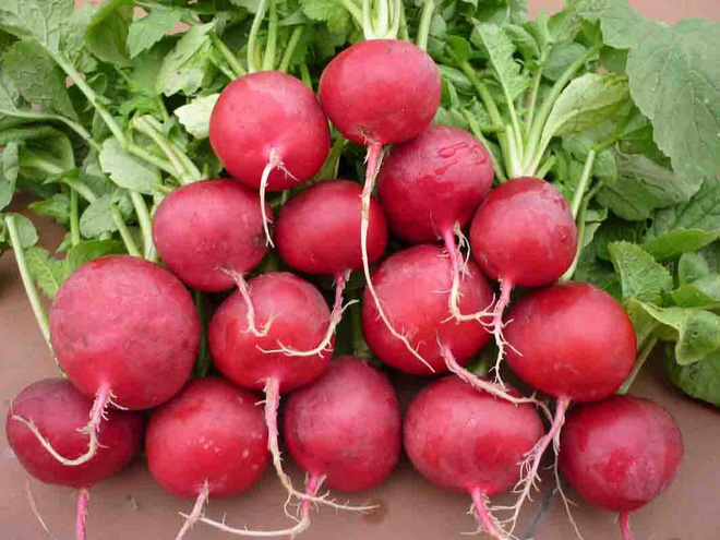 Nước ép thần kỳ tiêu diệt tế bào ung thư sau 42 ngày: Chuyên gia đầu ngành nói gì?