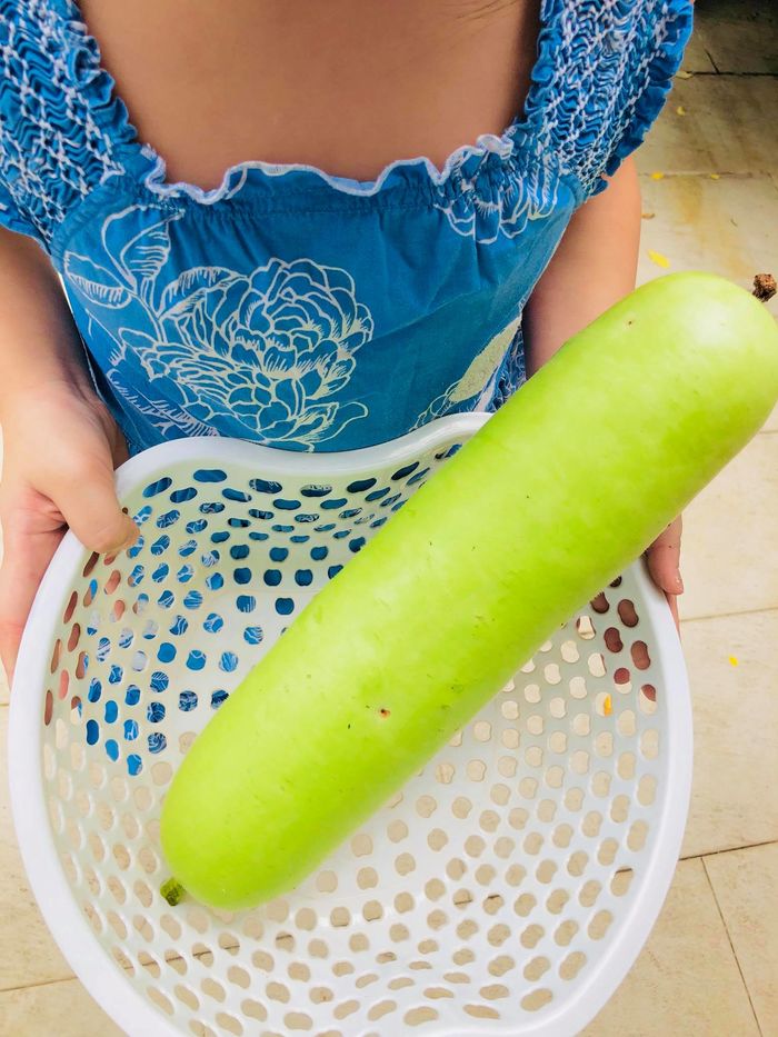 Khu vườn tuyệt đẹp toàn rau xanh trong biệt thự triệu đô của Thủy Tiên - Công Vinh