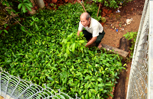 Tín dụng đen bủa vây người dân vùng dự án miền núi