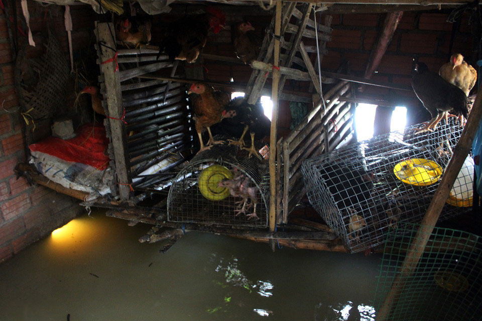 Người dân Quảng Nam lại tất bật chạy lũ