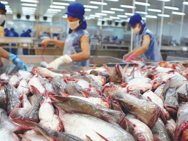 Đề nghị 7 bộ vào cuộc giúp hải sản Việt thoát thẻ vàng EU