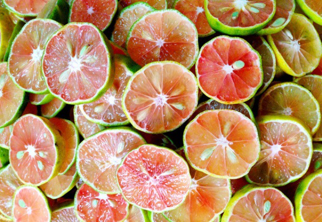 Trị ho hiệu quả cho trẻ trong mùa đông không cần dùng thuốc Trị ho hiệu quả cho trẻ trong mùa đông không cần dùng thuốc