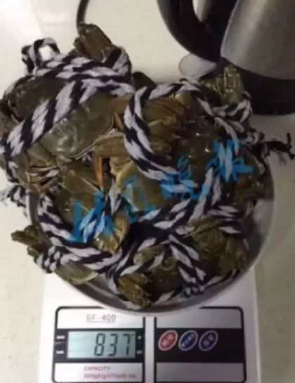 Mua cua biển đắt tiền qua mạng, chàng trai nhận 10 con to hơn đồng xu