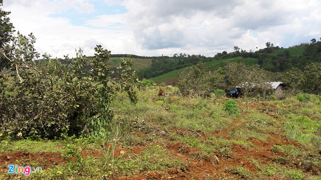 Truy tố 6 bị can vụ nổ súng làm 3 người chết, 13 bị thương