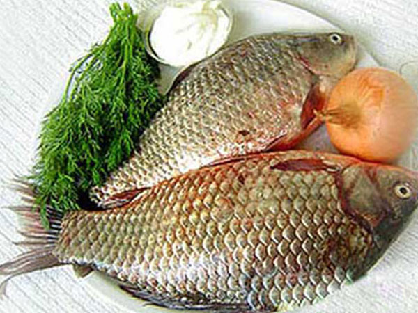 Cá chép - Bổ âm, chữa bệnh phụ nữ