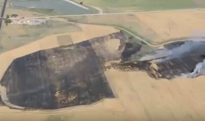 Phát hiện ra cánh đồng bị cháy, người nông dân làm một việc khiến ai cũng nể phục