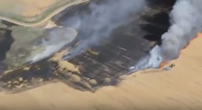 Phát hiện ra cánh đồng bị cháy, người nông dân làm một việc khiến ai cũng nể phục