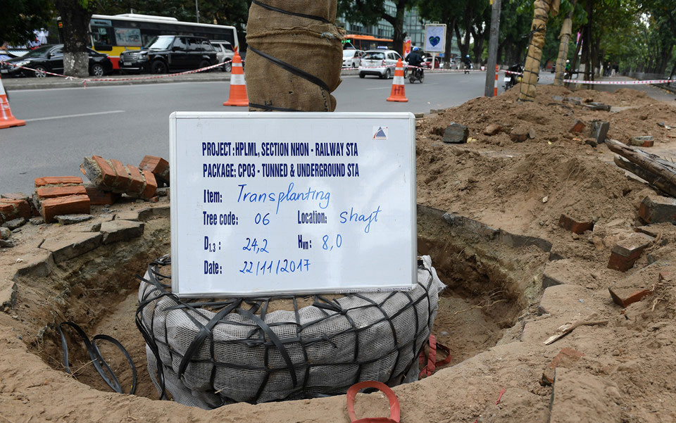 Cảnh di dời 8 cây xanh cuối cùng trên đường Kim Mã