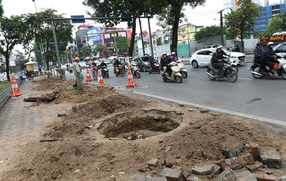 Cảnh di dời 8 cây xanh cuối cùng trên đường Kim Mã