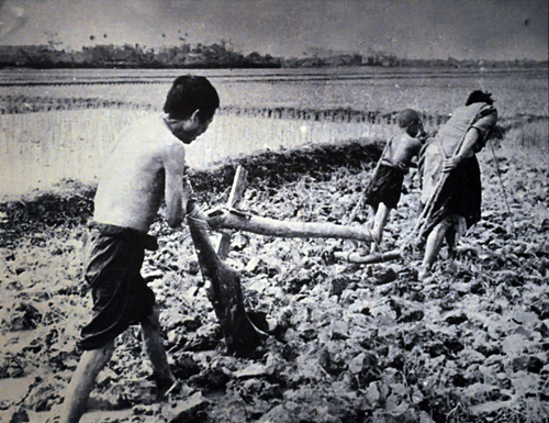 Chương trình môn Lịch sử mới sẽ không có vùng cấm