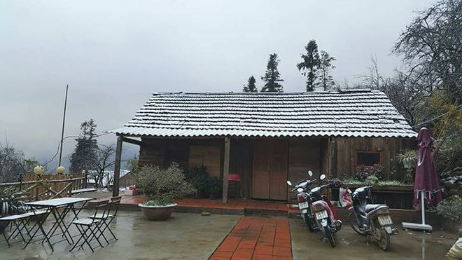 Thị trấn Sa Pa chìm trong giá lạnh, hoa đóng băng