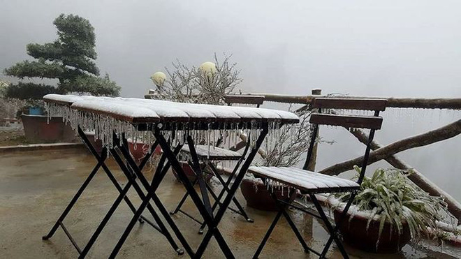 Thị trấn Sa Pa chìm trong giá lạnh, hoa đóng băng