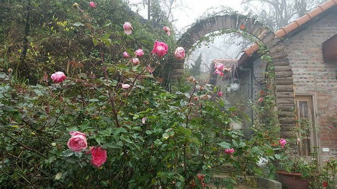 Thị trấn Sa Pa chìm trong giá lạnh, hoa đóng băng