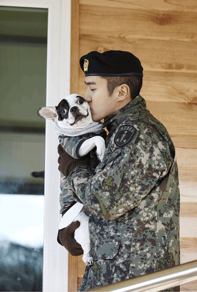 Siwon từng bị chó cưng cắn làm ảnh hưởng đến đơn vị, gia đình cố CEO tiết lộ tình tiết quan trọng Siwon từng bị chó cưng cắn làm ảnh hưởng đến đơn vị, gia đình cố CEO tiết lộ tình tiết quan trọng